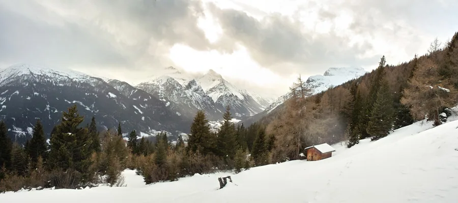 Frohe Weihnachten vom DACH der Welt