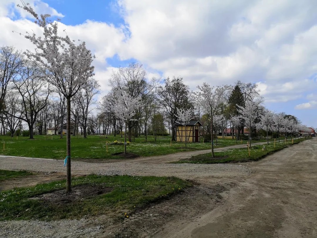 Bad Dürrenberg - Baustelle Kurpark
