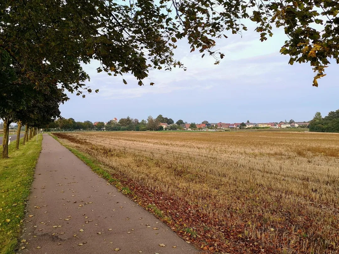 Edderitz - Südwestseite des Orts mit Stoppelfeld
