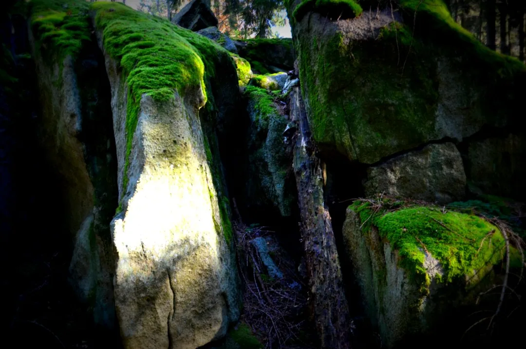 Moosbewachsene Felsen der Teufelsmühle