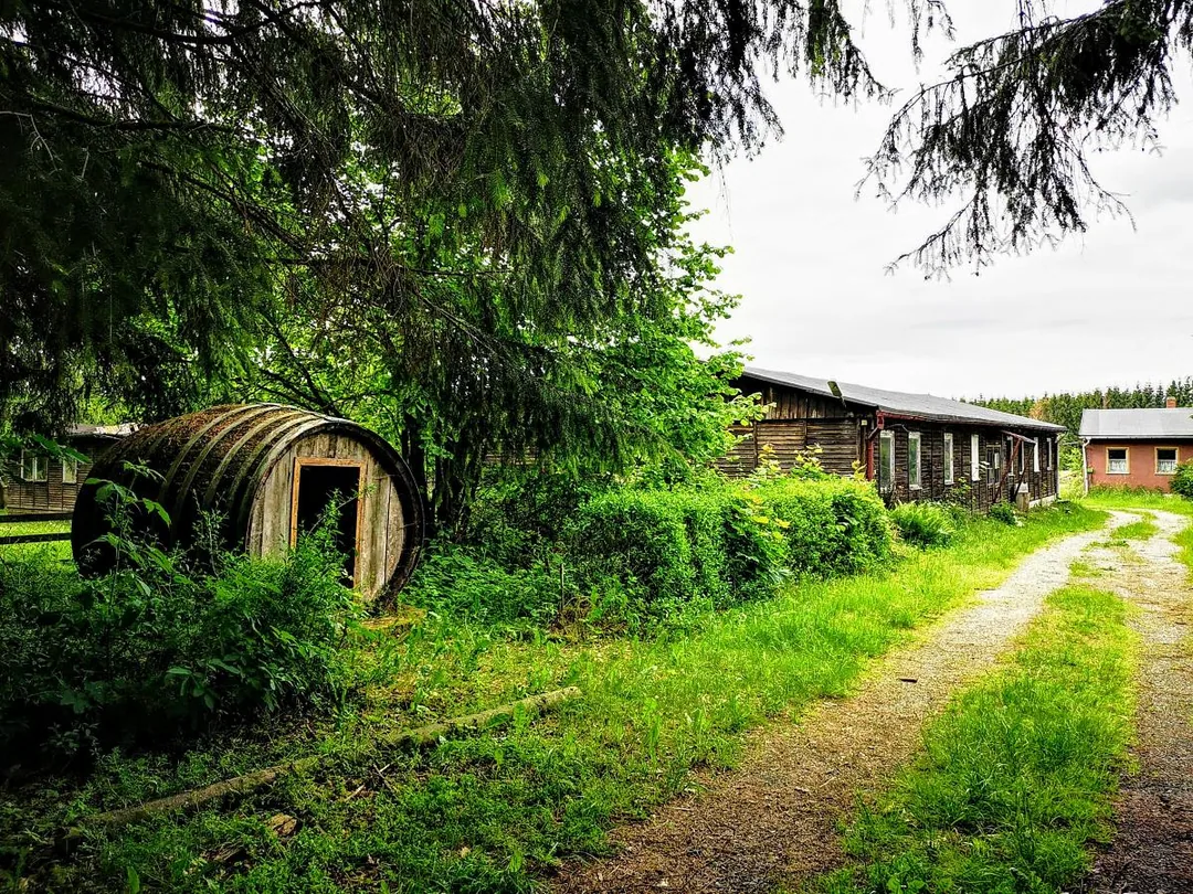 Kinderferienlager Neudorf (Harz): Erinnerungen + Birnbaumteich