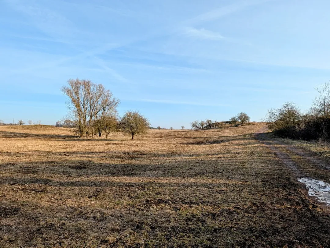 Hügelige Landschaft in der Franzigmark bei Halle