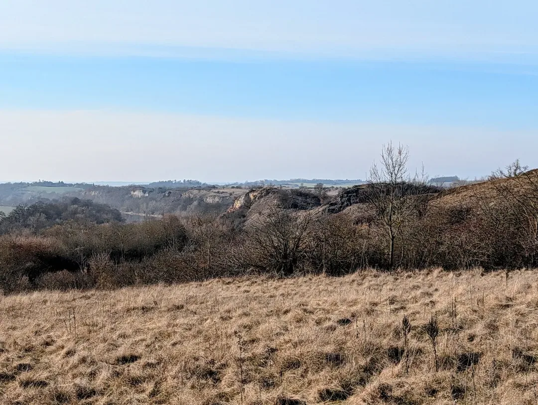 Franzigmark - Saaleblick in Richtung Brachwitz