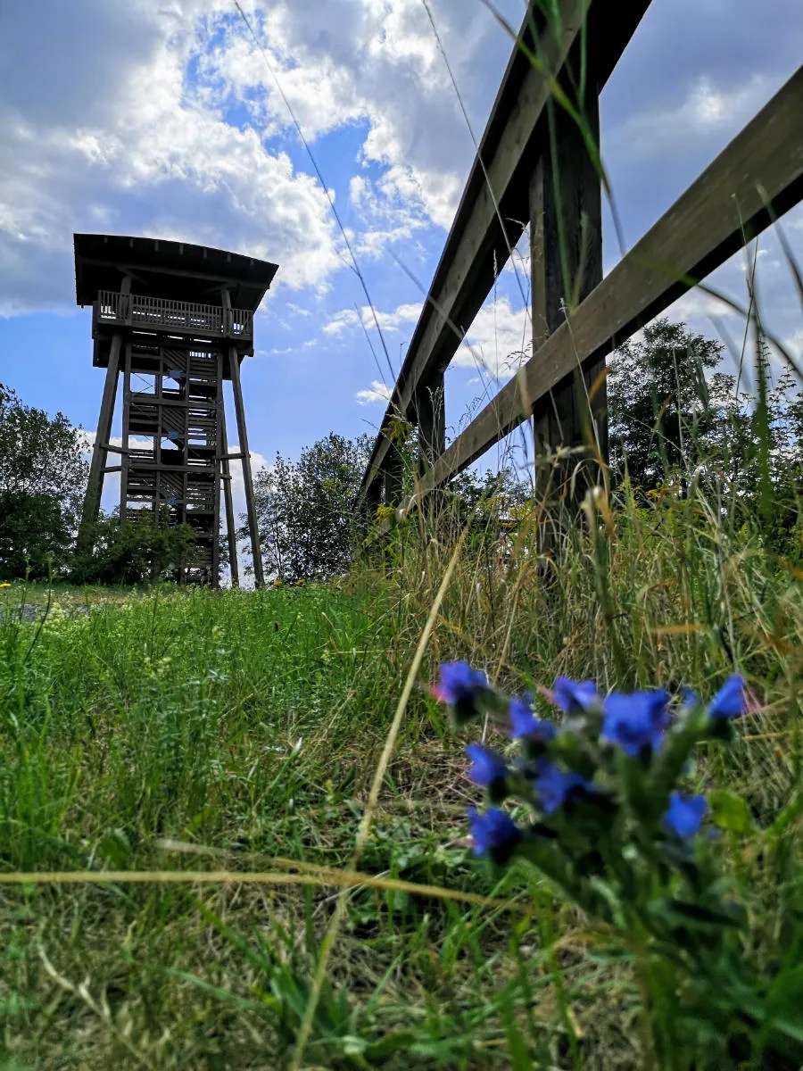 Geiseltalsee: Am Fuß des Aussichtsturms Klobikauer Höhe
