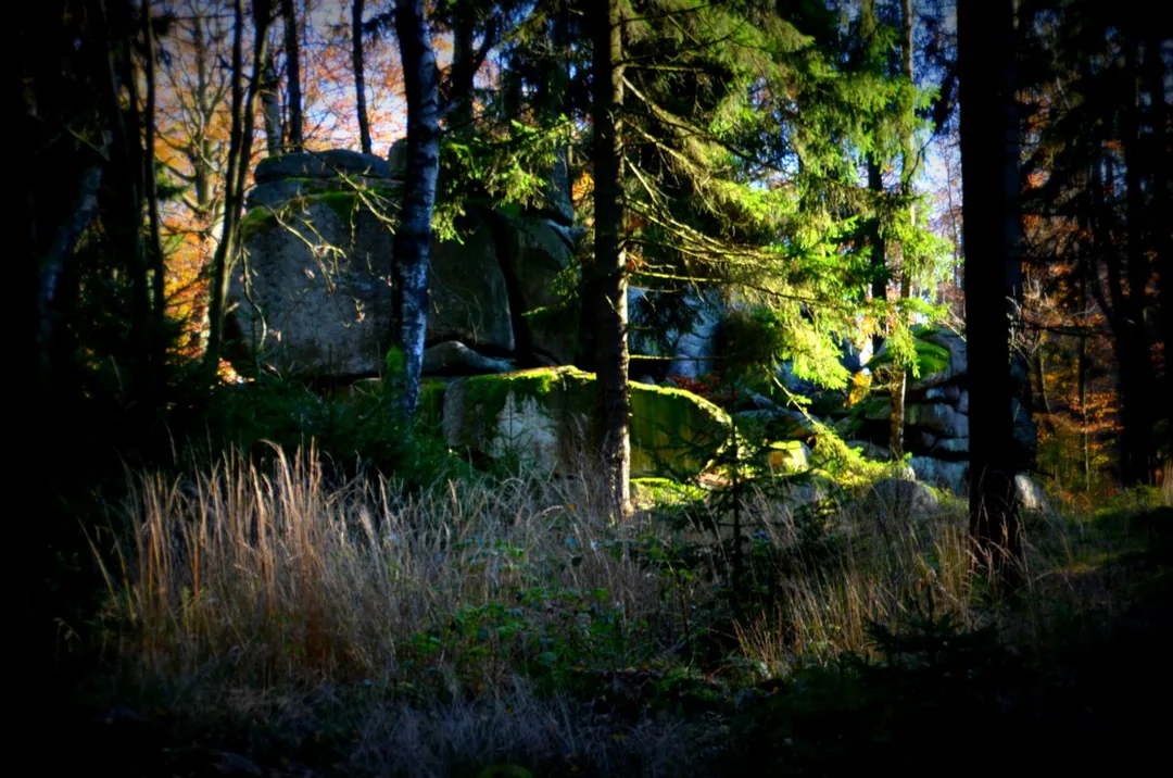 Große Teufelsmühle im Harz