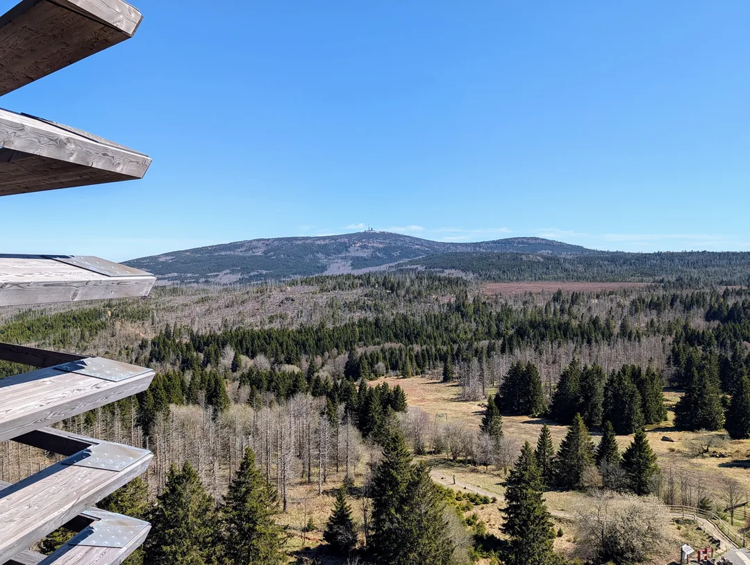 Harzturm Torfhaus und Rundweg ums Torfhausmoor: Aussicht, Skywalk + toter Wald