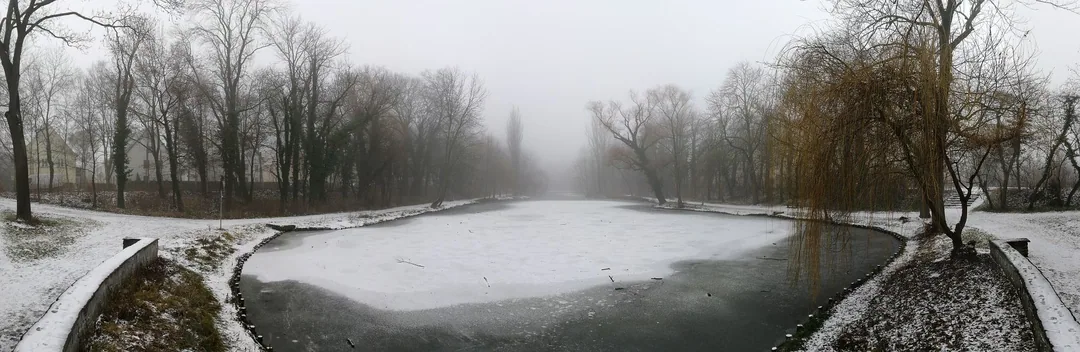 Winternebel am Hubertusteich in Köthen