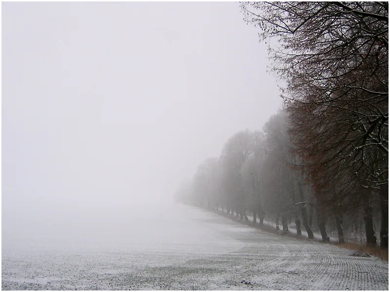 Die Allee des Lebens