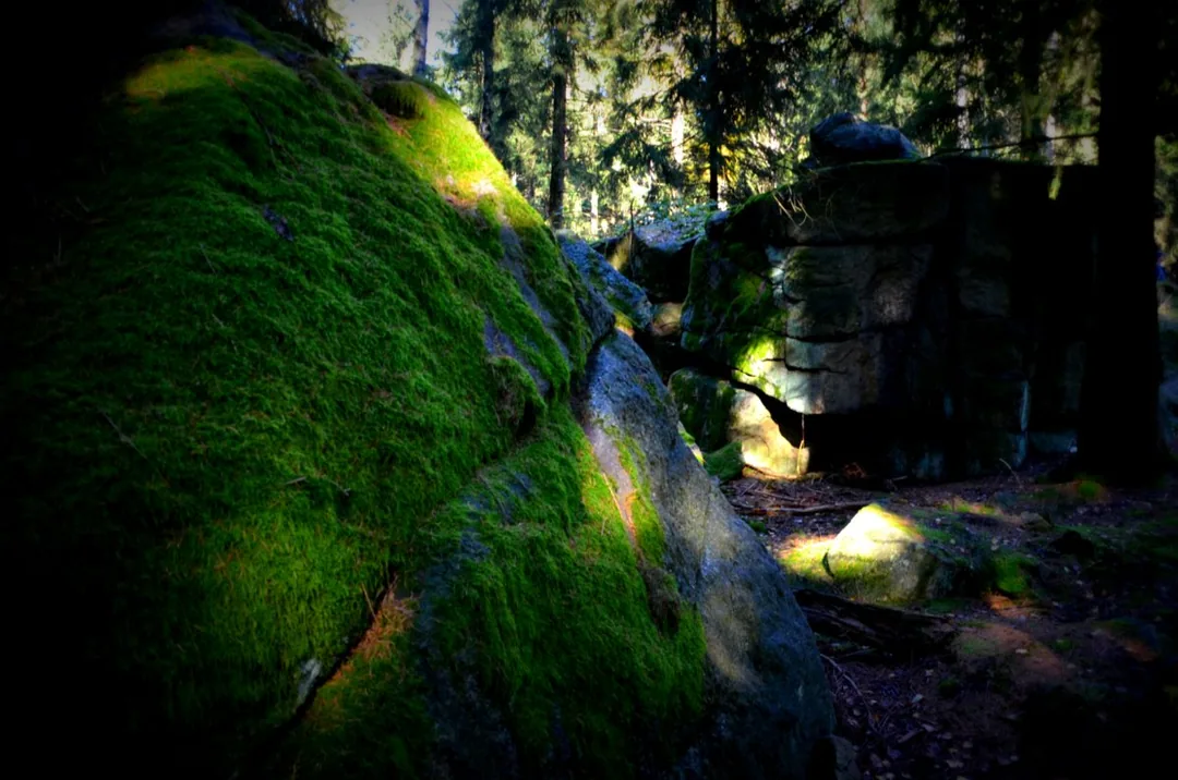 Moosbewachsene Felsen der Teufelsmühle Friedrichsbrunn