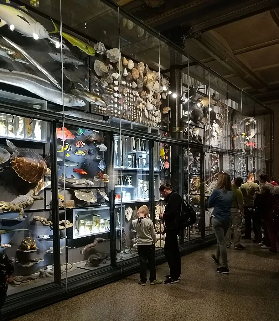 Biodiversitätswand, Evolution in Aktion
