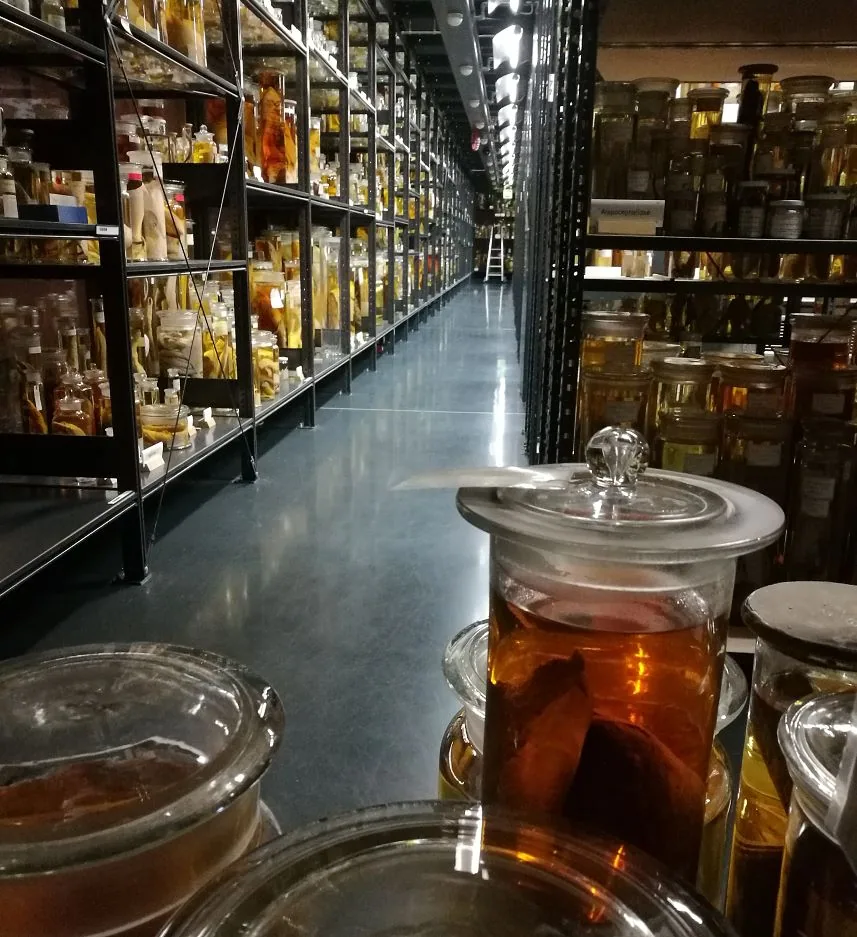 Forschungs-Nass-Sammlung