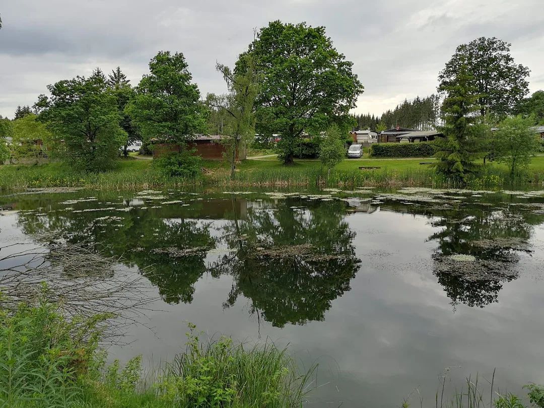 Blick auf den Ferienpark Birnbaumteich