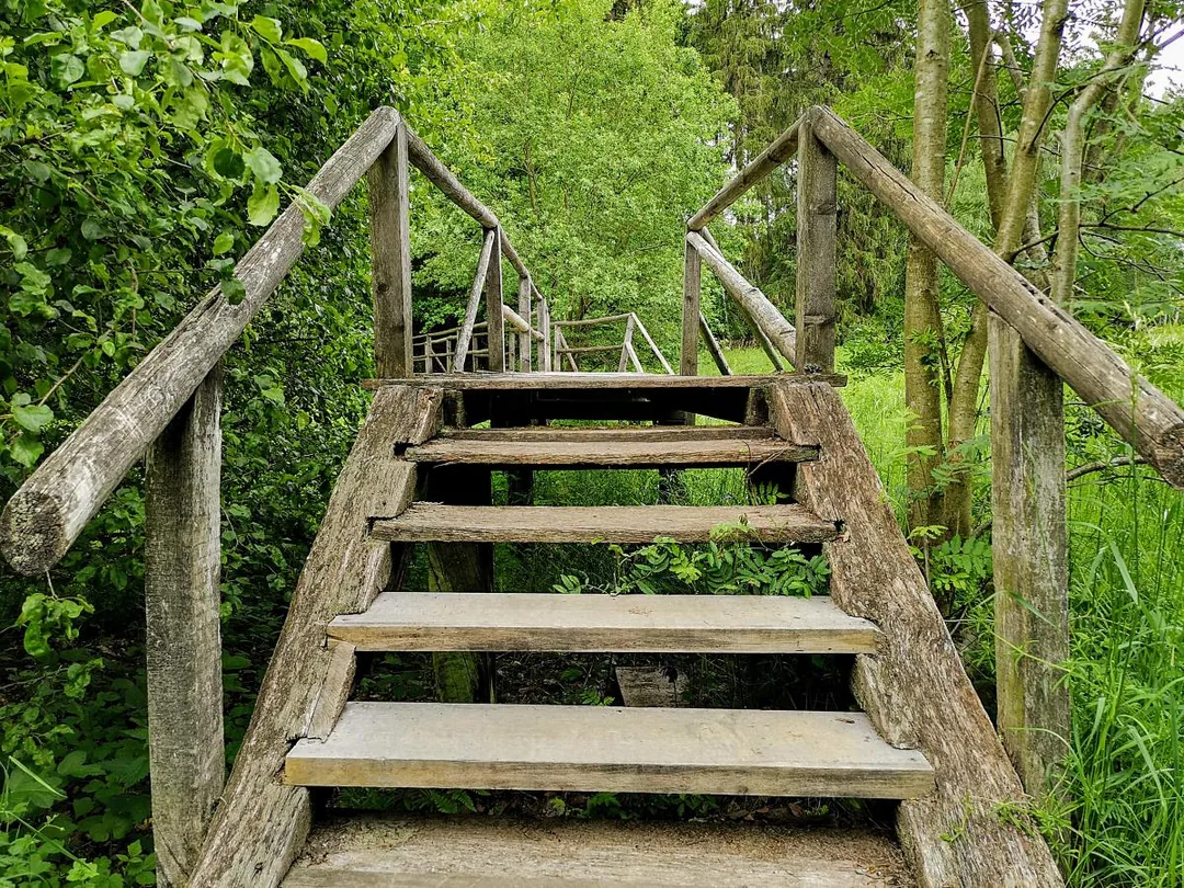 Birnbaumteich: Steg/Brücke auf der Südseite