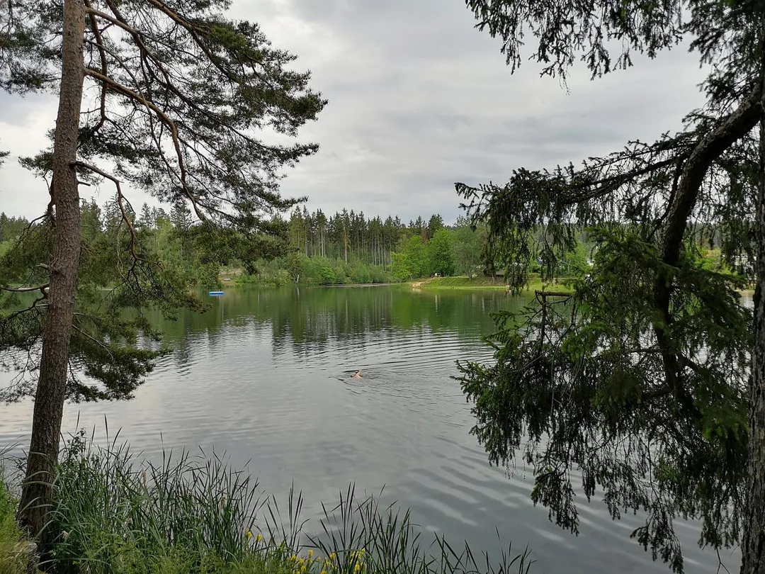 Blick über den Birnbaumteich (Südseite)