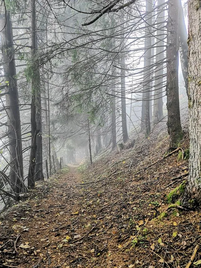 Panoramaweg Piesendorf