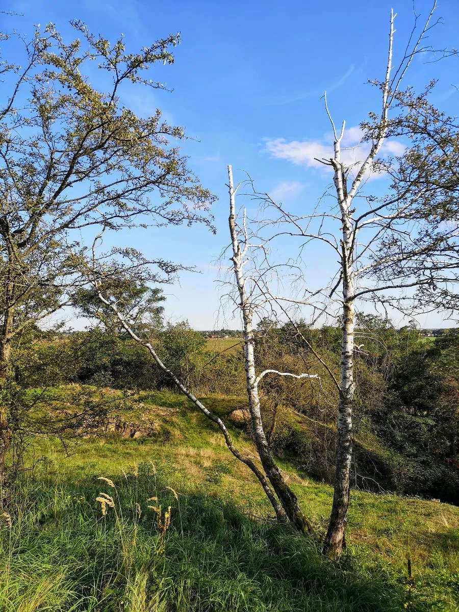 Porphyrkuppenlandschaft Landsberg