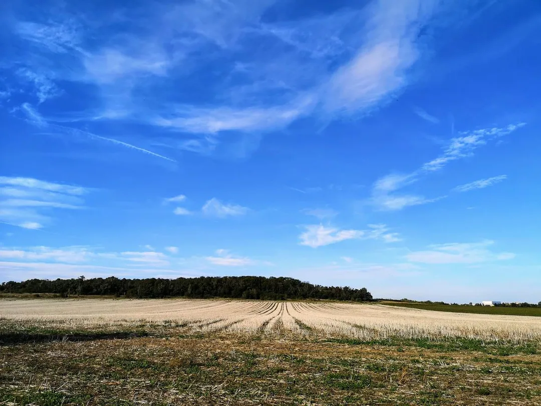 Blick auf den 136 Meter hohen Spitzberg