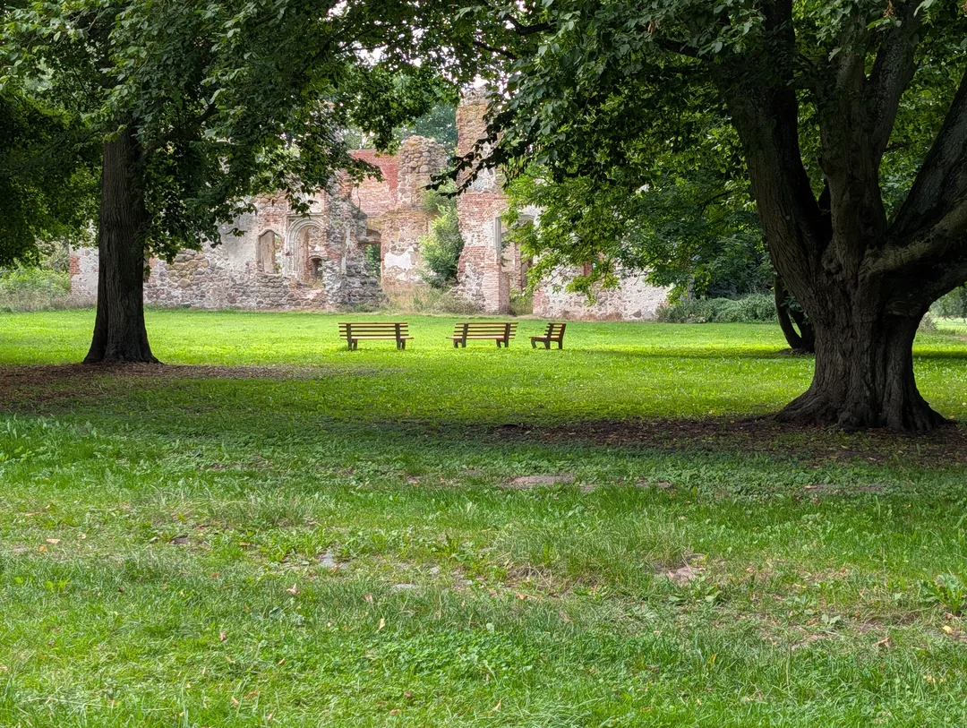 Drei Bänke unter alten Bäumen im Park von Putzar mit Blick auf die Schlossruine