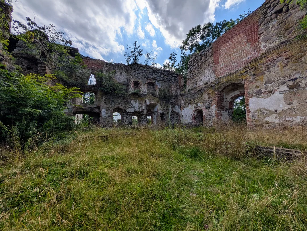Blick in das dachlose Innere des Ulrichsbaus, Gras und junge Bäume wachsen zwischen den Mauern