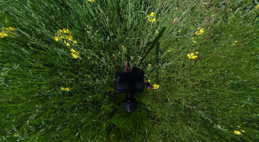 Stative für die Ricoh Theta S
