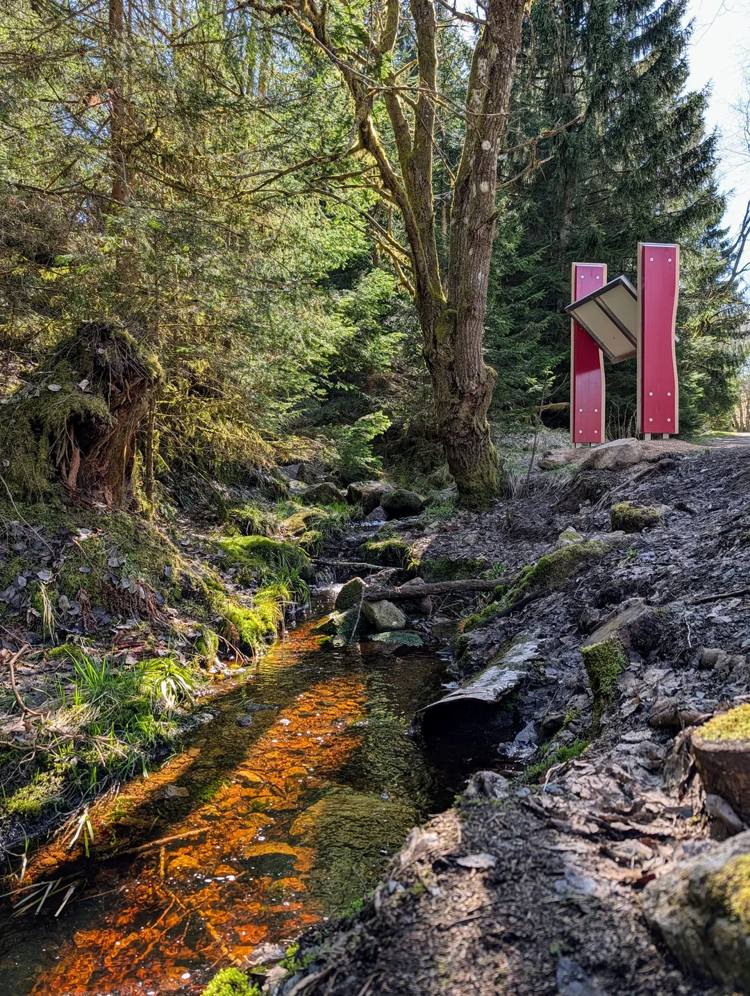 Rot-orangefarbenes Wasser im Bach am Torfhausmoor, Eisenoxid aus dem Moorboden