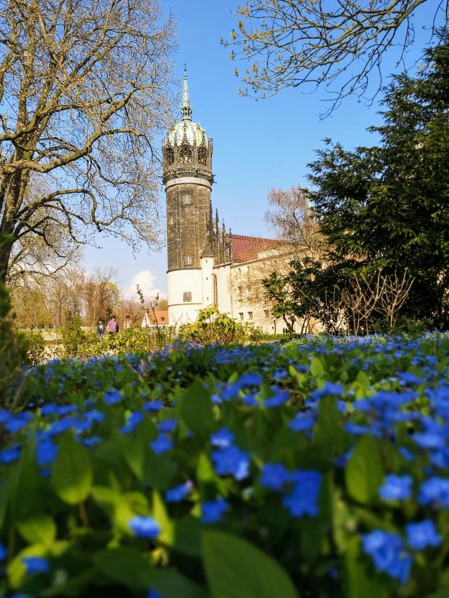 Wittenberg - Schlosskirche, Turm