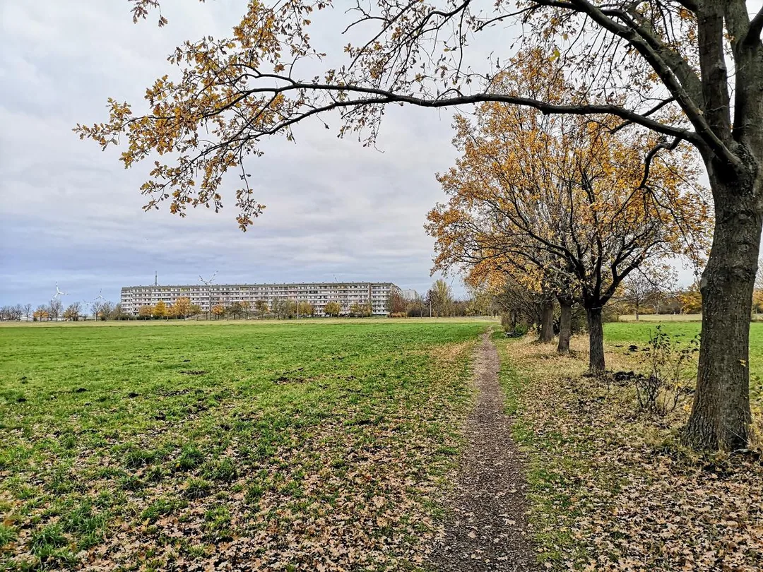 Herbstlicher Blick zur Fuhnestraße
