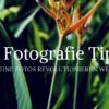 17+ Fotografie Tipps, die Deine Fotos revolutionieren werden