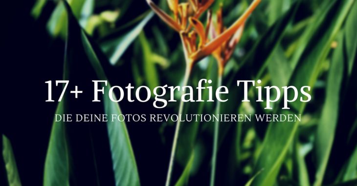 17+ Fotografie Tipps, die Deine Fotos revolutionieren werden