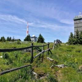 Auf dem Brocken