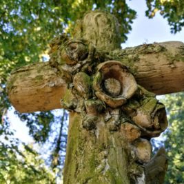 Kreuz am Grab zweier Kinder - Friedhof 3 in Dessau