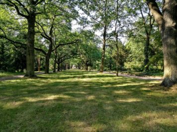 Allee im Friedhof 3 der Stadt Dessau