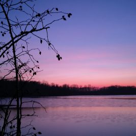 Smartphone-Foto zur blauen Stunde ohne Stativ