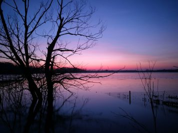 Edderitzer See zur Blauen Stunde