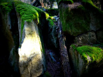 Moosbewachsene Felsen der Teufelsmühle