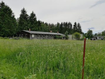 Ferienlager Neudorf (Harz) - Speisesaal und Wiese/Sportplatz