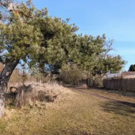 Franzigmark bei Halle, Ausgangspunkt am BUND Umweltzentrum