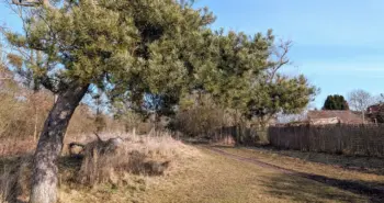 Franzigmark bei Halle, Ausgangspunkt am BUND Umweltzentrum