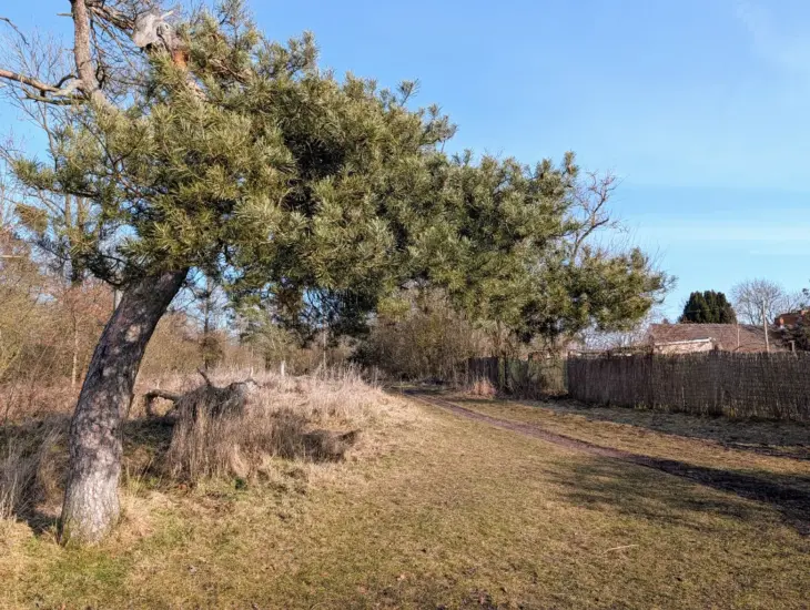 Franzigmark bei Halle, Ausgangspunkt am BUND Umweltzentrum