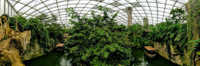 Gondwanaland Panorama