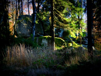 Große Teufelsmühle im Harz