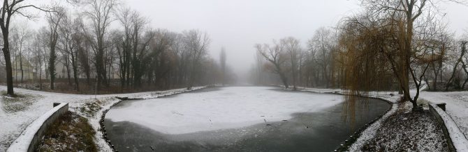 Hubertusteich im Winter - Panorama