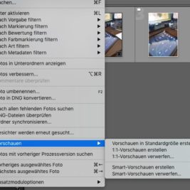 Lightroom Smart-Vorschau