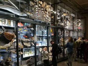 Biodiversitätswand, Evolution in Aktion im Museum für Naturkunde Berlin