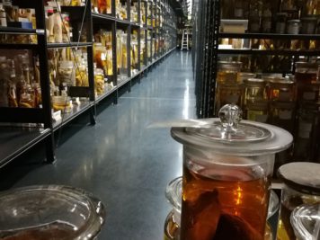 Forschungs-Nass-Sammlung im Museum für Naturkunde Berlin