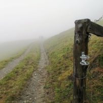 Panoramaweg Piesendorf: Irgendwo auf 1085 Meter Höhe