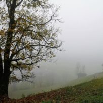 Erster Anstieg auf dem Panoramaweg Piesendorf bewältigt