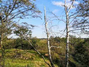 Porphyrkuppenlandschaft Landsberg