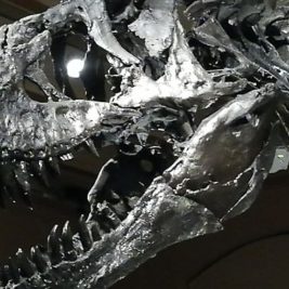 T-Rex im Naturkundemuseum Berlin