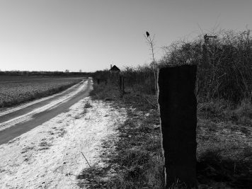 Weg zwischen Gartenanlage und Kreisstraße